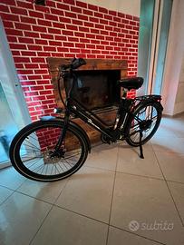 Bici elettrica evercross