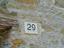 Immagine 12