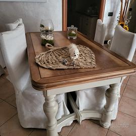 tavolo 4 sedie e credenza