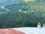 Immagine 12