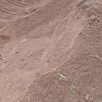 terra pulita