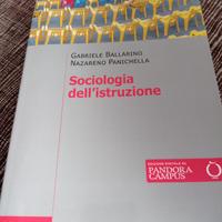 Sociologia dell'istruzione 