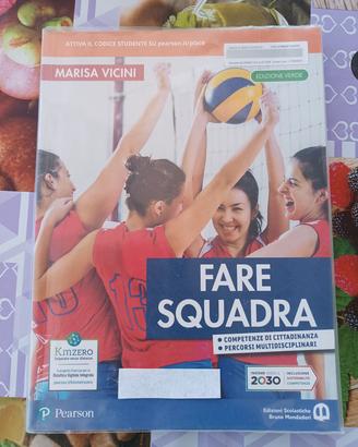 libro fare squadra