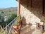 Immagine 8