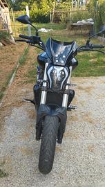 Benelli 502 C - 2021