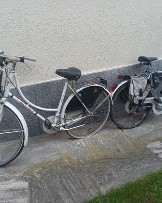bicicletta da passeggio e citybike