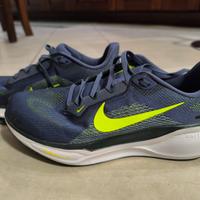 Nike Pegasus 