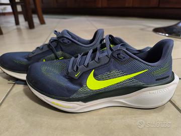 Nike Pegasus 