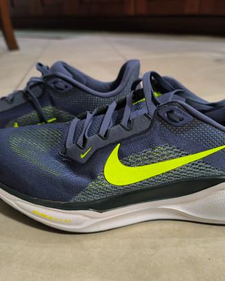 Nike Pegasus 