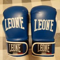 guantoni boxe