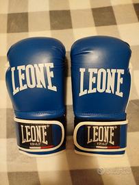 guantoni boxe