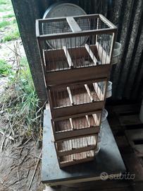 gabbiette  in legno  per  canarini 