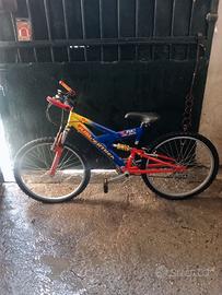 Bicicletta
