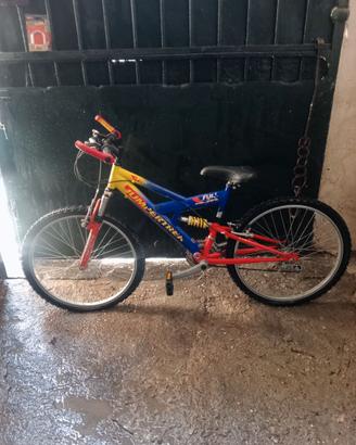 Bicicletta