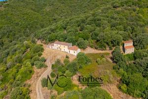 Tenuta 110 Ettari con Antico Stazzo tra Viddalba e