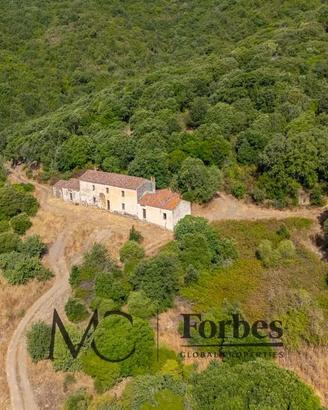 Tenuta 110 Ettari con Antico Stazzo tra Viddalba e