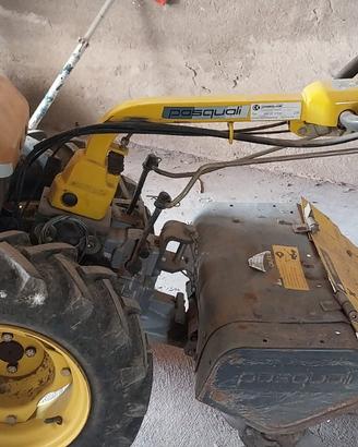 Motocoltivatore Pasquali usato