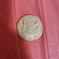 Medaglia 1976-77
