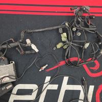 Centralina rapid bike evo kawasaki ninja 600 2009