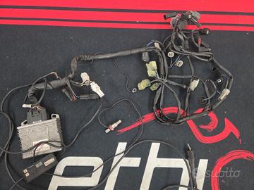 Centralina rapid bike evo kawasaki ninja 600 2009