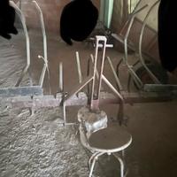 Raccogli polloni - fascine - rami aratro