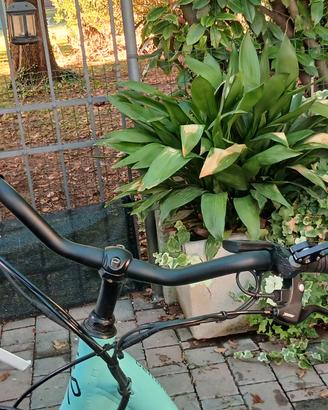 Bicicletta a Pedalata assistita