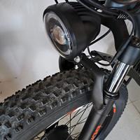Bicicletta Elettrica