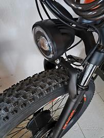 Bicicletta Elettrica