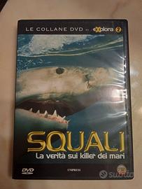 Squali dei mari