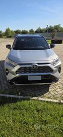 RAV 4 FULL HYBRID