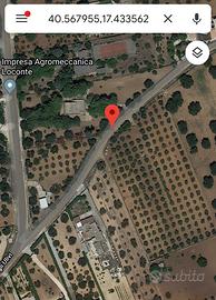 Terreno Agricolo Contrada Mannara