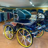 Carrozza per cavalli
