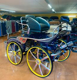 Carrozza per cavalli