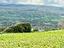 Immagine 29