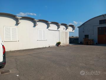 Capannone commerciale