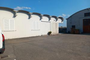 Capannone commerciale