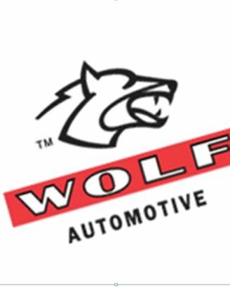 WOLF COVER CAR PN 041387 007801 CUSTOM
