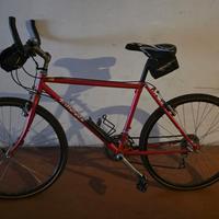 Bicicletta uomo