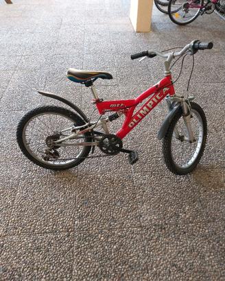 Bici da 20 pollici