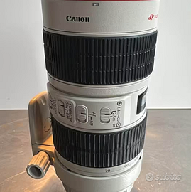 70-200 stabilizzato serie L 2.8