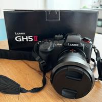 Panasonic GH5 II + 12-60mm f/2.8-4