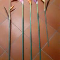 Fiori di legno dipinti