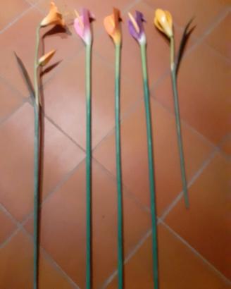 Fiori di legno dipinti