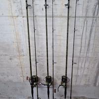 Canne e mulinelli carpfishing Prowess