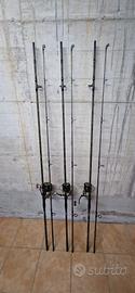 Canne e mulinelli carpfishing Prowess
