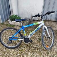 bicicletta rebellato bambino 