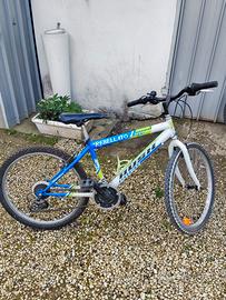 bicicletta rebellato bambino 