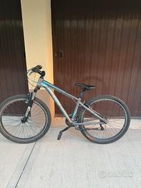 Mountain bike