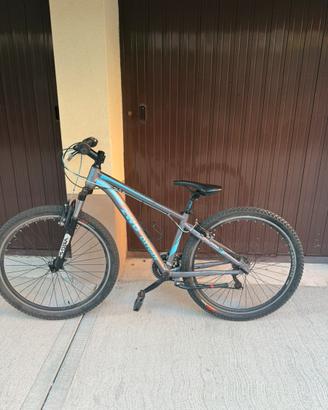 Mountain bike