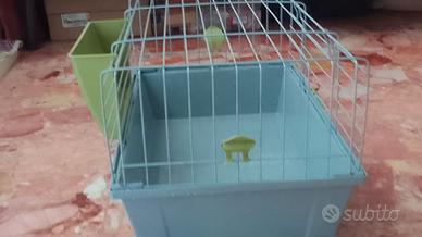Gabbia coniglio, cavie